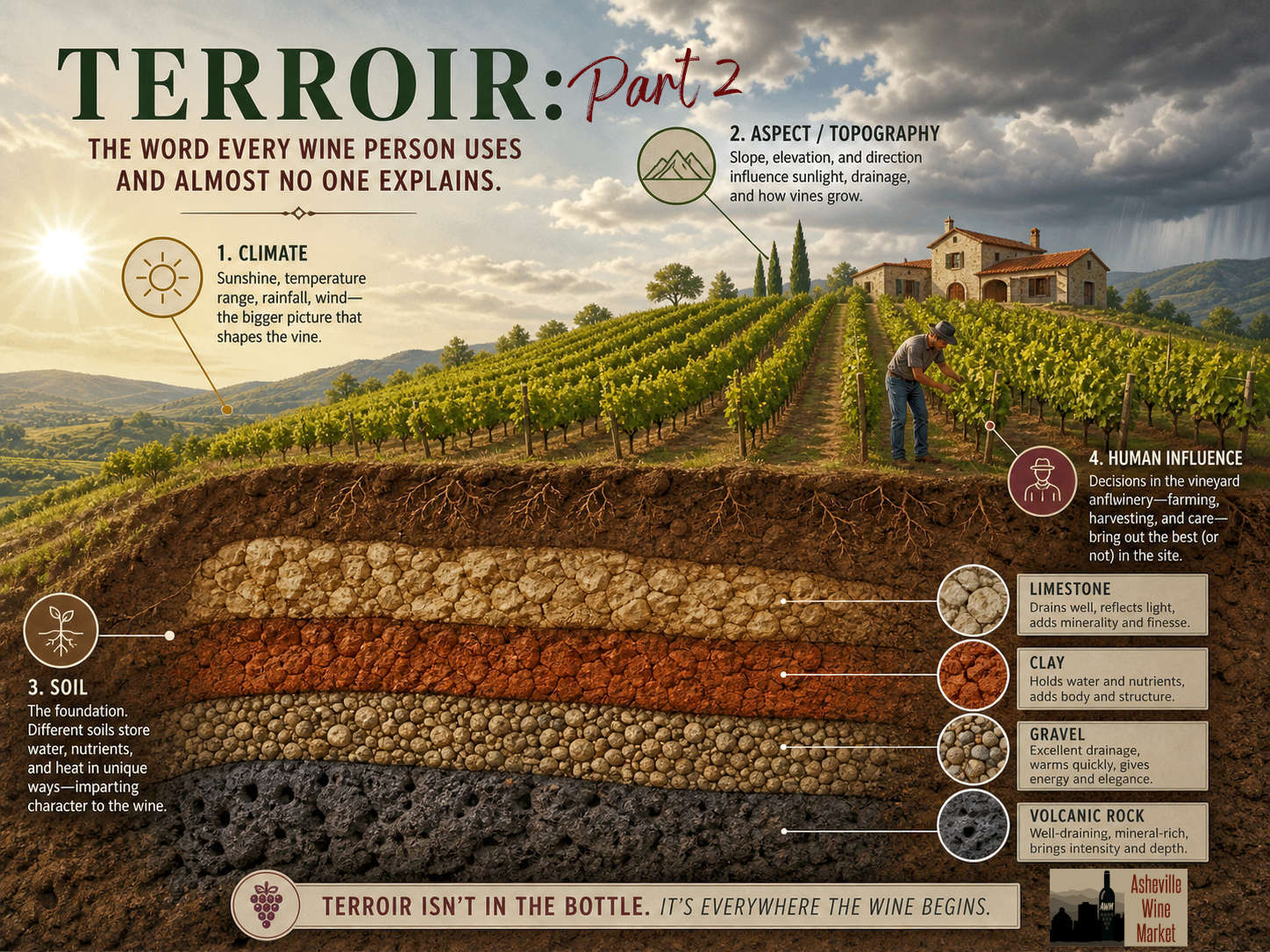 terroir image - newsletter article 6-2026