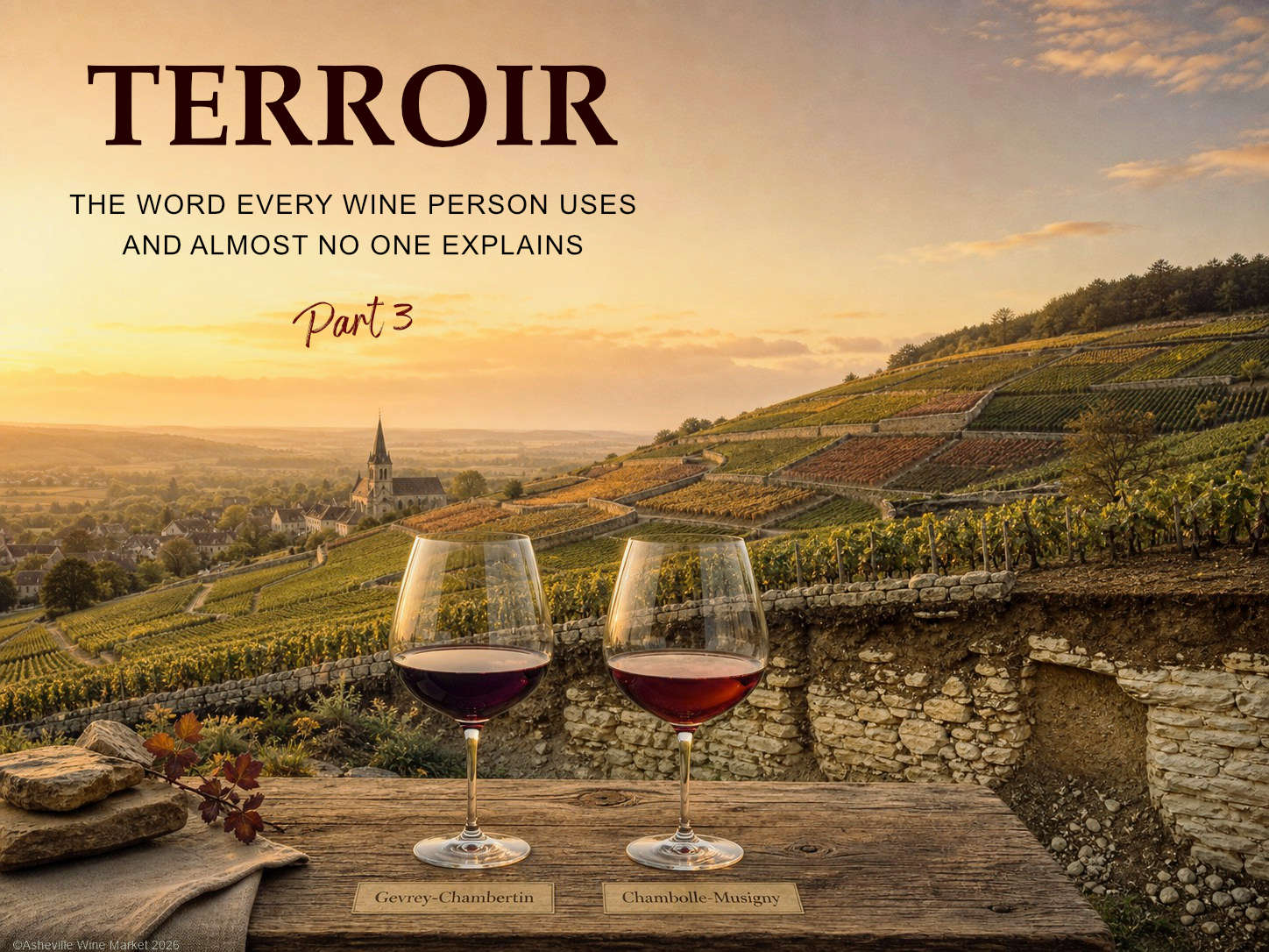 terroir image newsletter v3 perplexity burgundy terroir lab_DxO